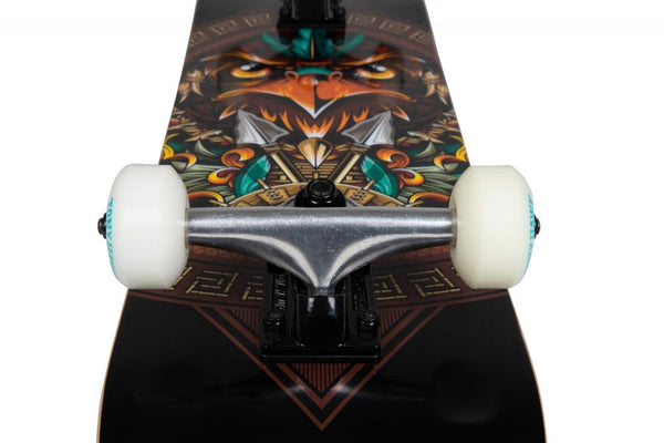 Tony Hawk SS 360 Complete Ancient Hawk