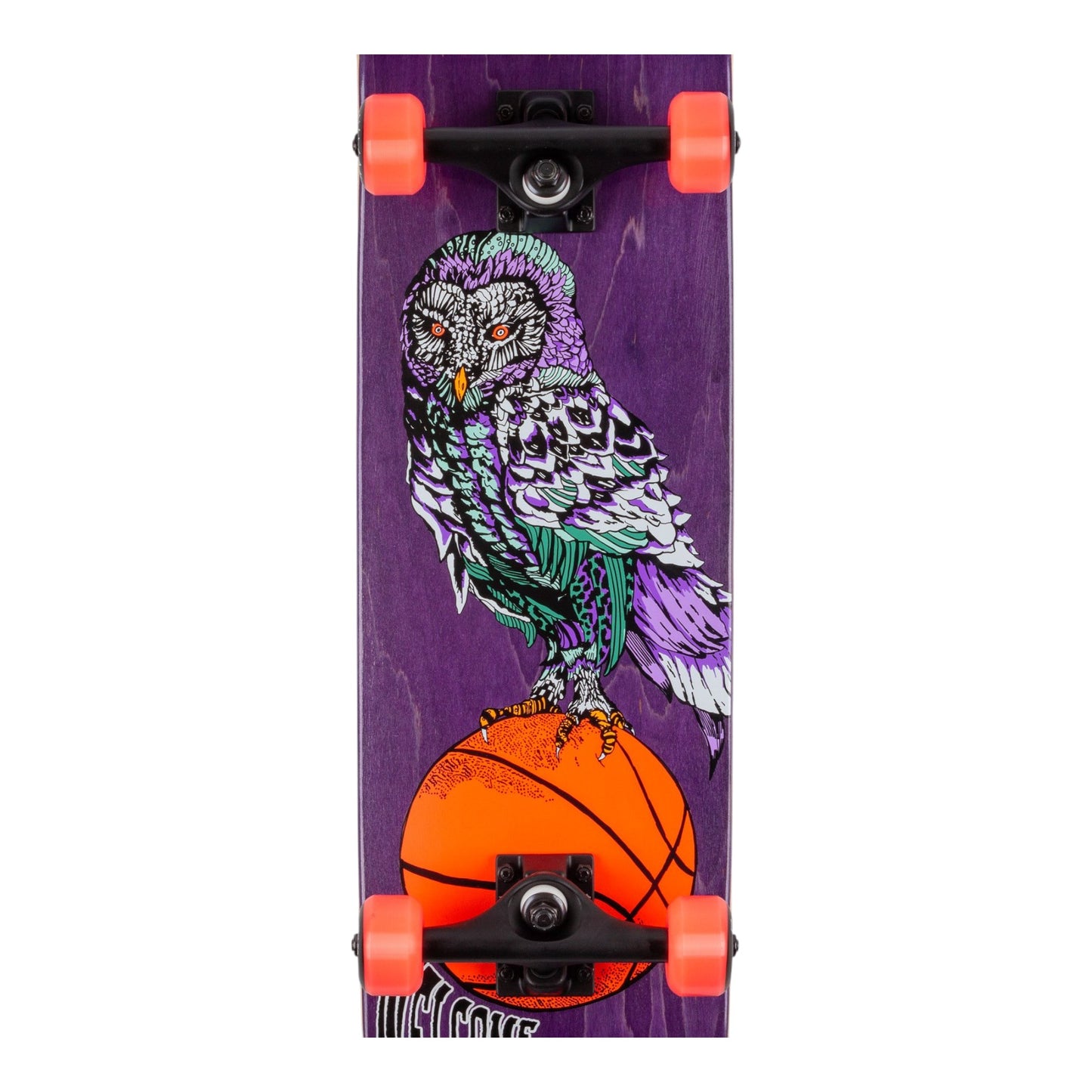 Welcome - Hooter Shooter Complete (Purple Stain) 8.0"